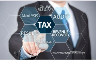 What are the Disadvantages of Using Tax Preparation Software?